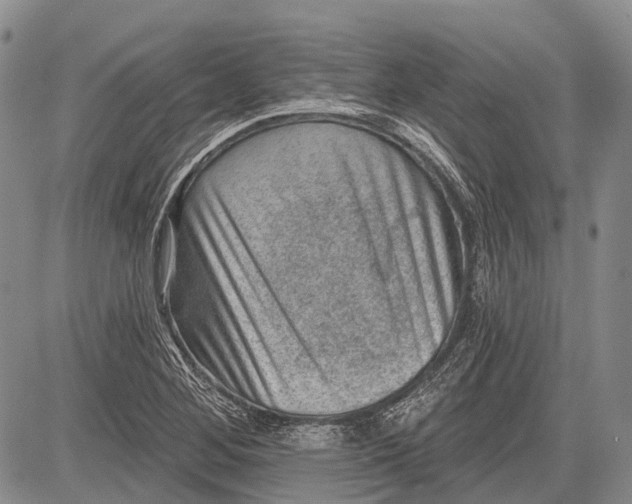 X0000081561268200702051140