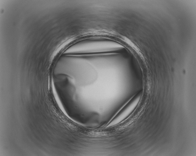 X0000081561269200702051140