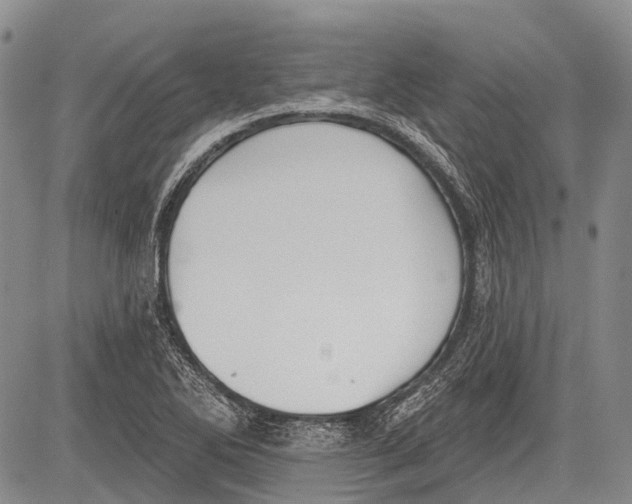 X0000081561270200702051140