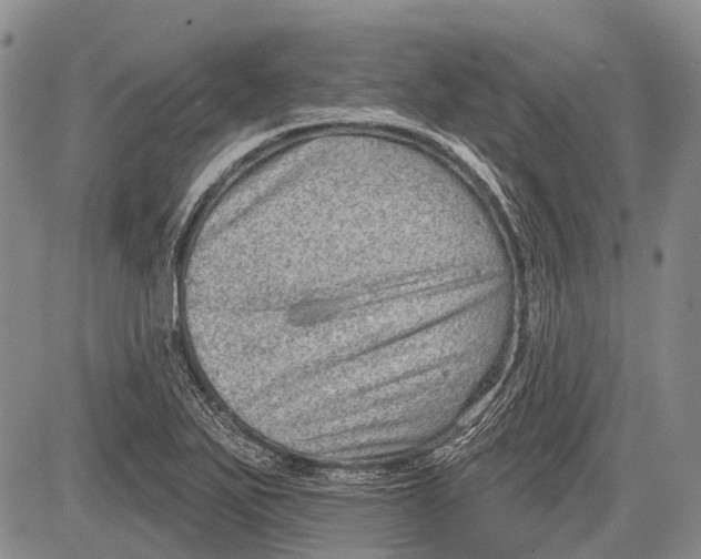 X0000081561271200702051140