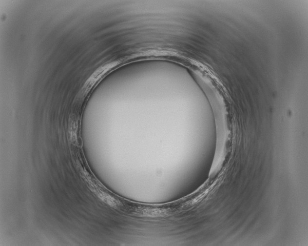 X0000081561273200702051140