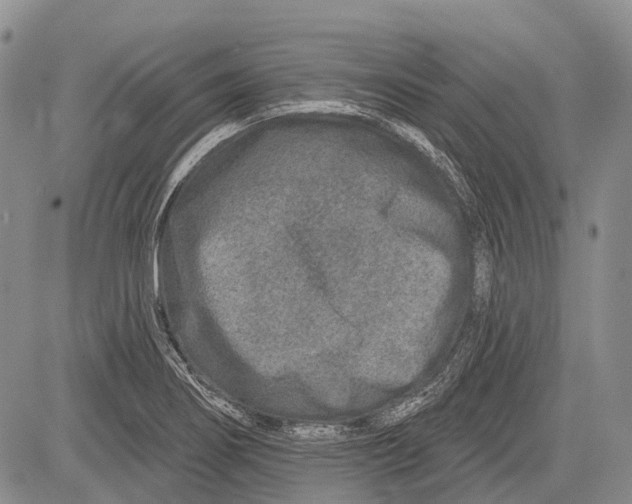 X0000081561274200702051140