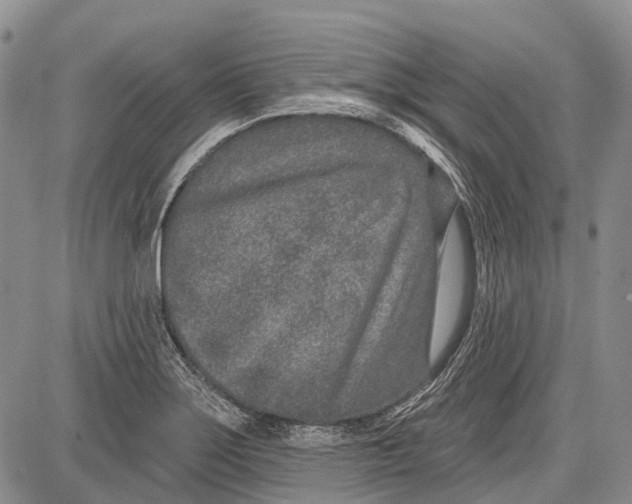 X0000081561275200702051140