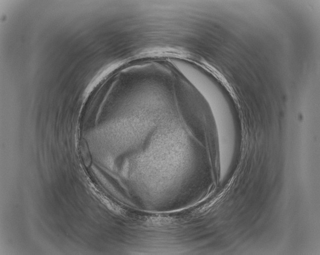 X0000081561277200702051140