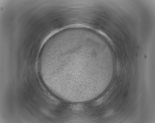 X0000081561278200702051140