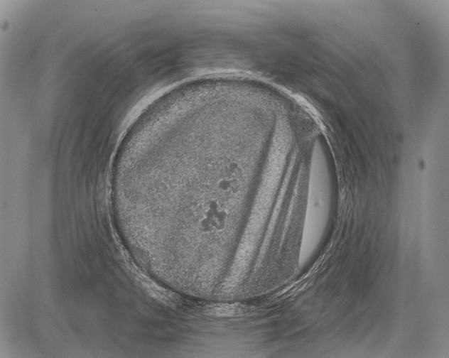 X0000081561279200702051140