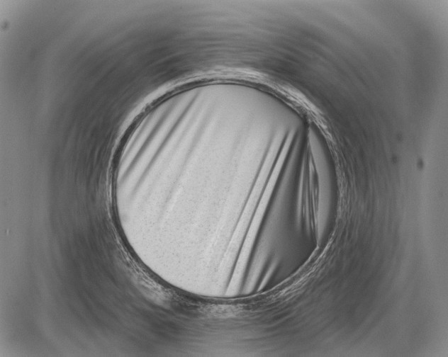 X0000081561280200702051140