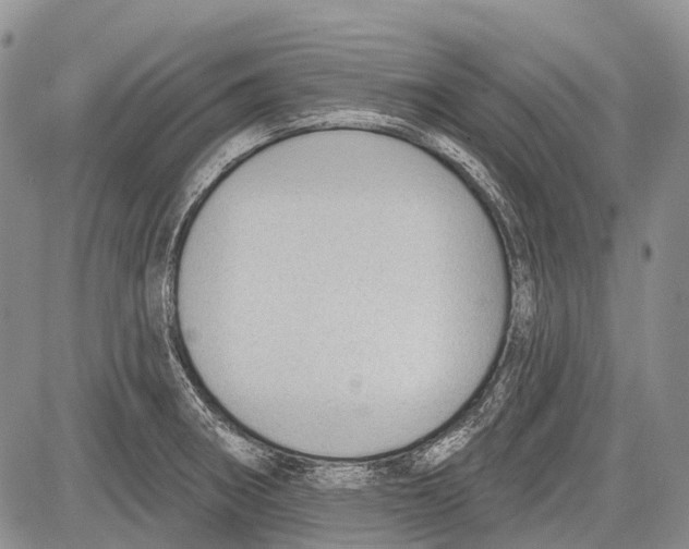 X0000081561282200702051140