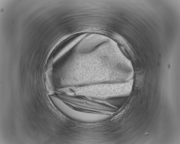 X0000081561284200702051140