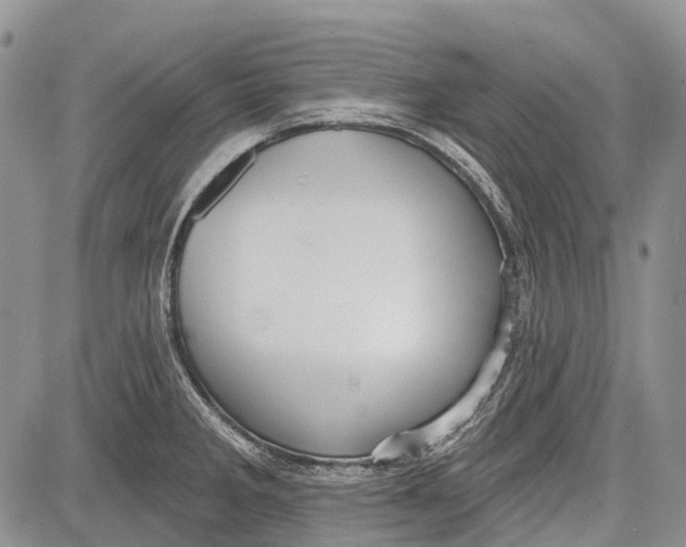 X0000081561285200702051140