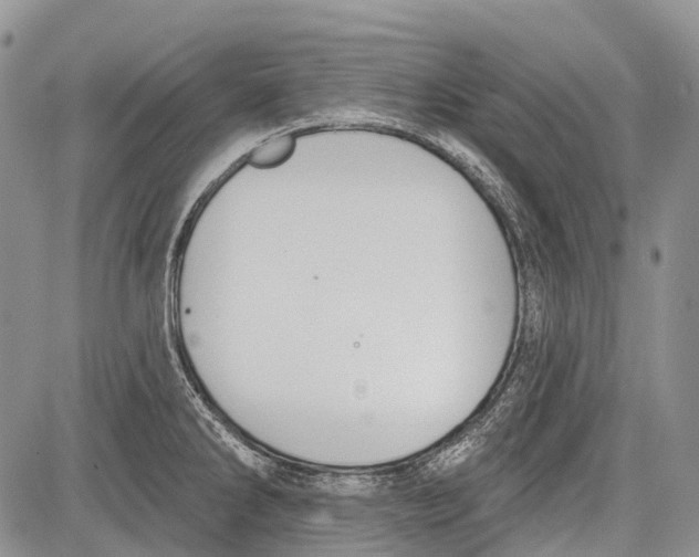 X0000081561286200702051140