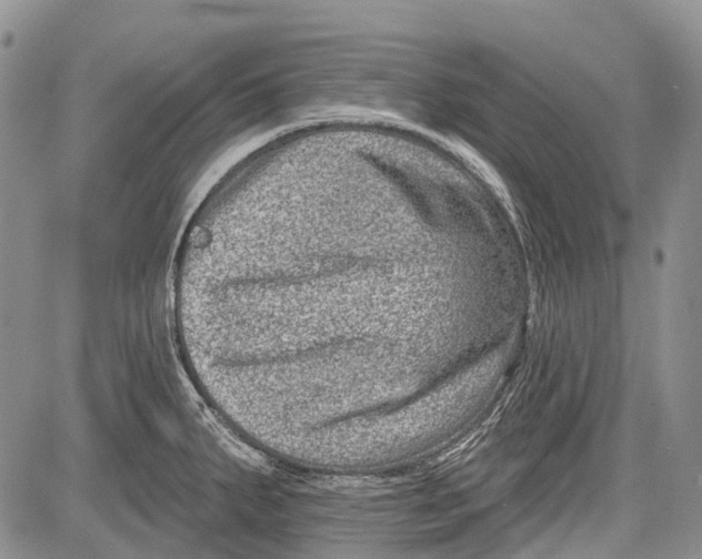 X0000081561287200702051140