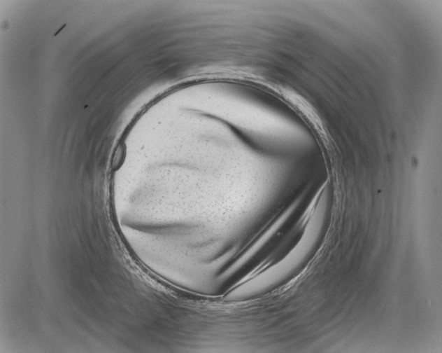 X0000081561288200702051140