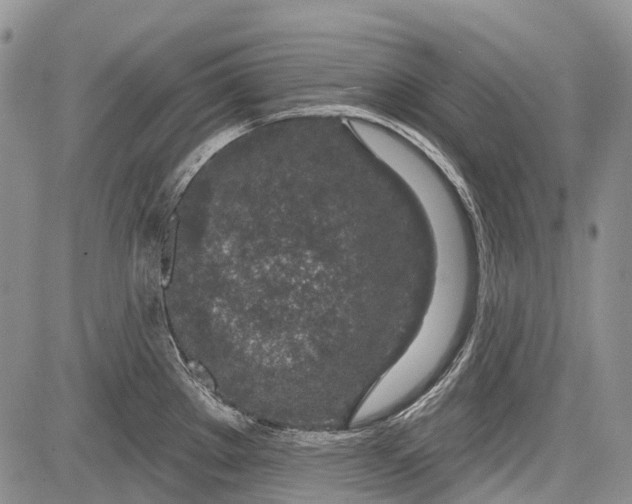 X0000081561289200702051140