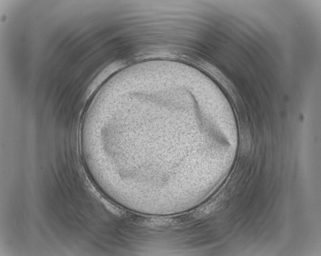 X0000081561290200702051140