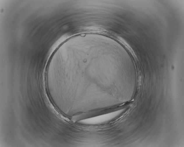 X0000081561291200702051140