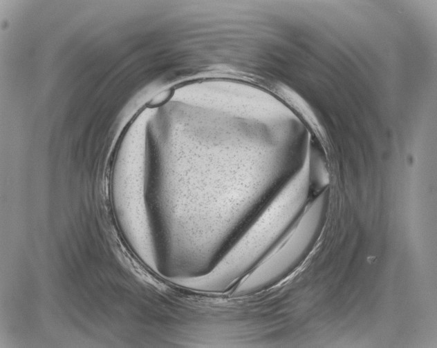 X0000081561292200702051140