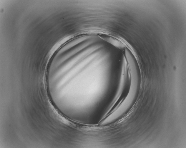 X0000081561293200702051140