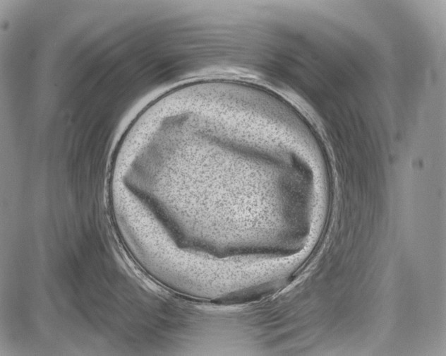 X0000081561296200702051140