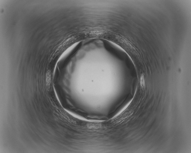 X0000081561299200702051139