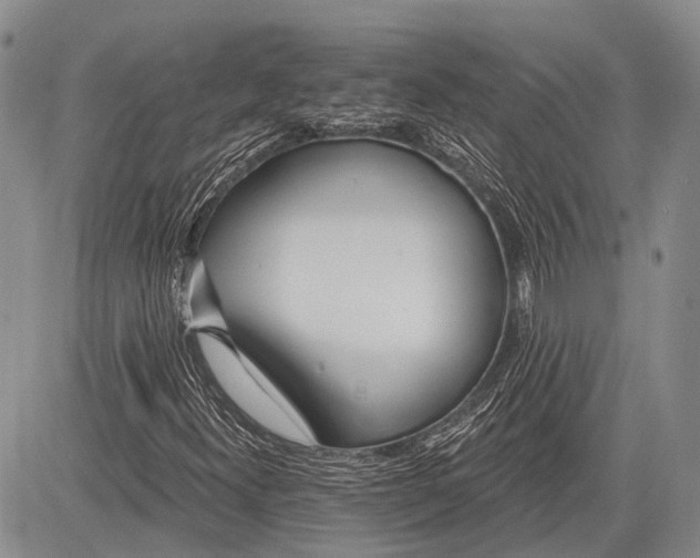 X0000081561300200702051139