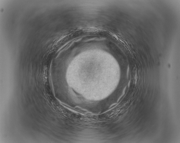 X0000081561301200702051139