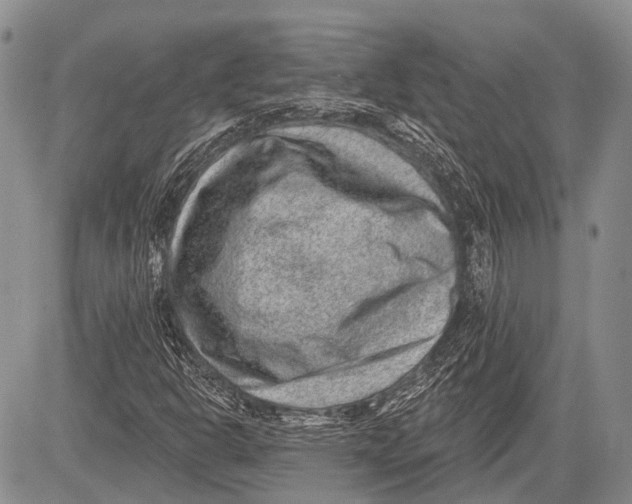 X0000081561302200702051139