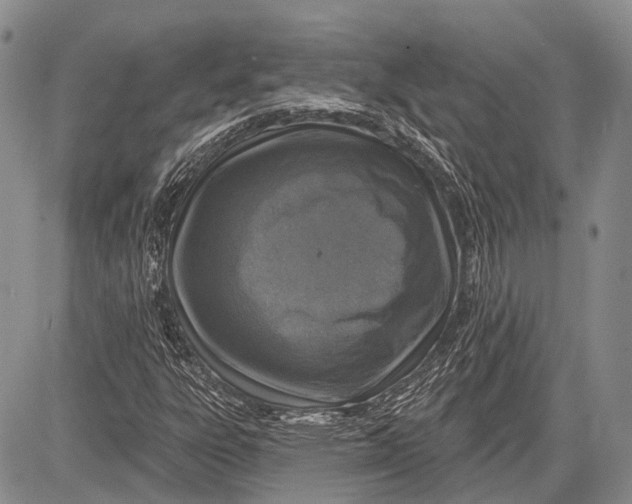 X0000081561303200702051139