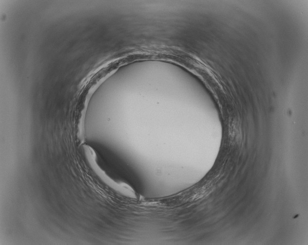 X0000081561304200702051139