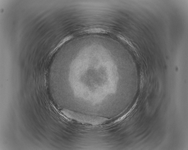 X0000081561305200702051139