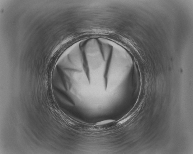 X0000081561307200702051139