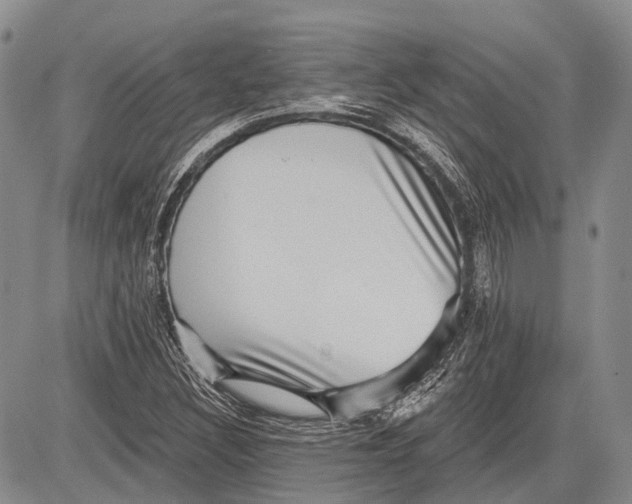 X0000081561308200702051139