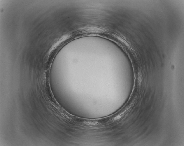 X0000081561309200702051139