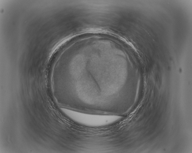 X0000081561311200702051139