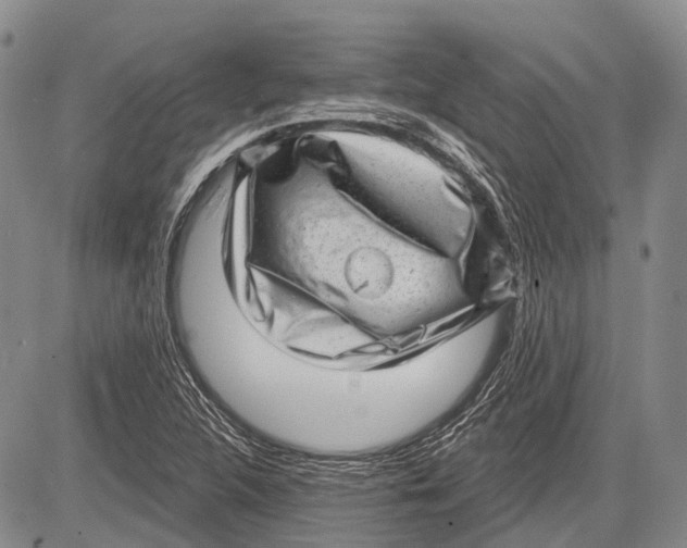 X0000081561312200702051139