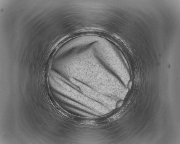 X0000081561313200702051139