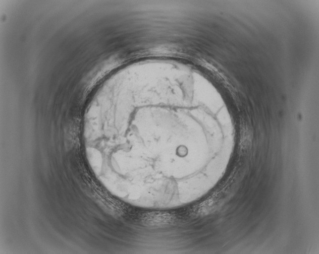 X0000081561314200702051139