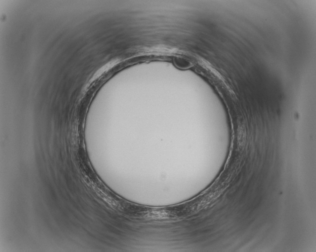 X0000081561315200702051139