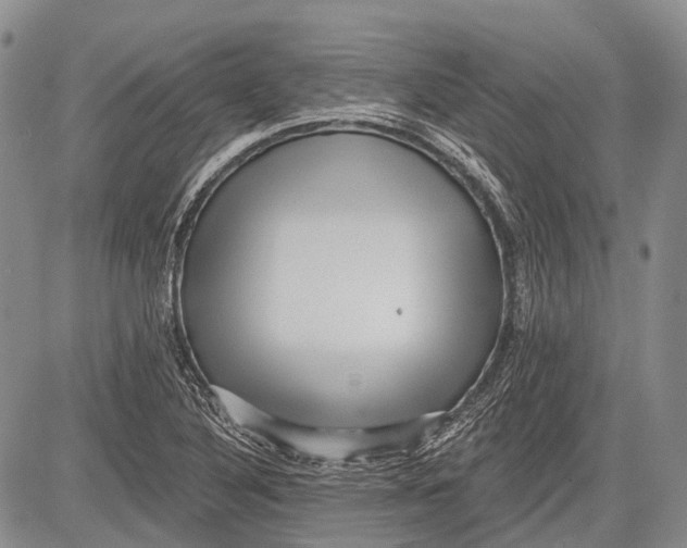 X0000081561316200702051139