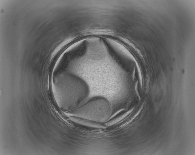 X0000081561317200702051139