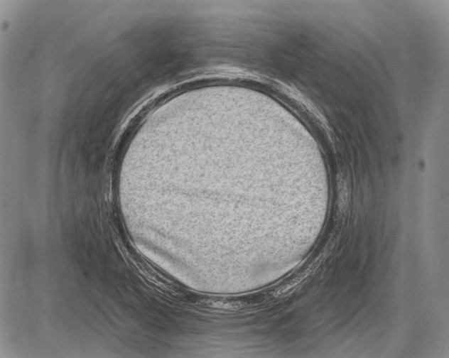 X0000081561318200702051139