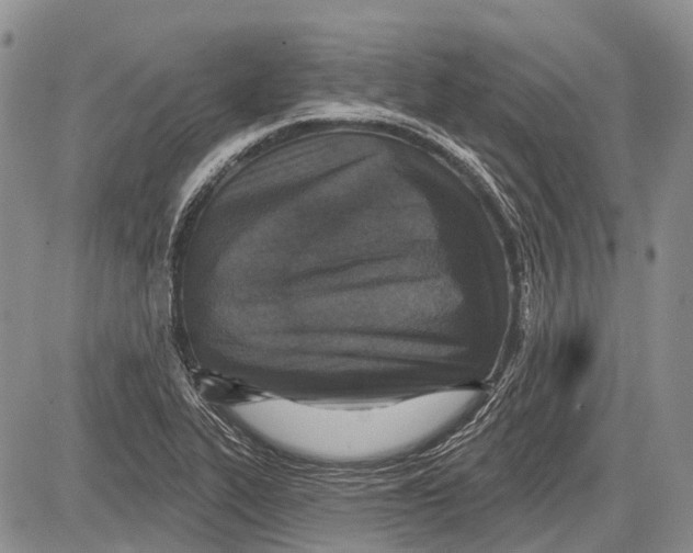 X0000081561319200702051139