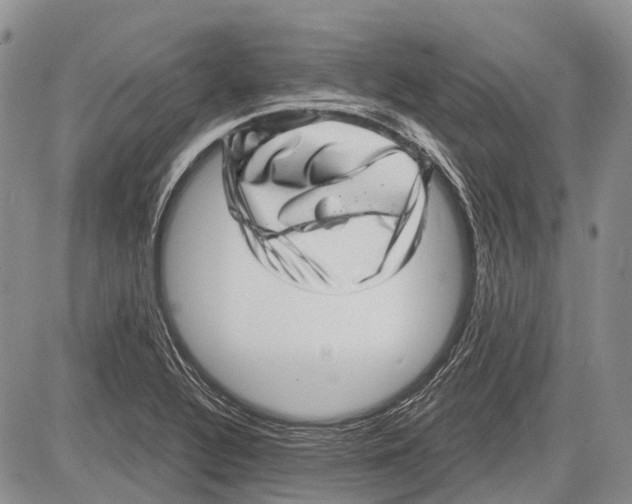 X0000081561320200702051139