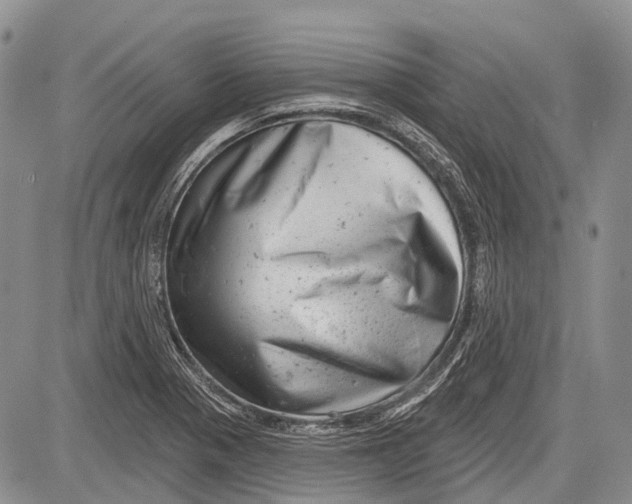 X0000081561321200702051139