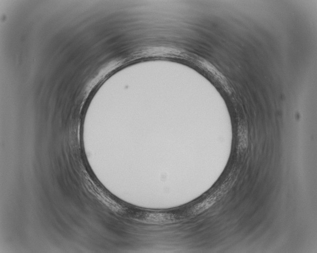 X0000081561322200702051139