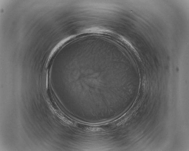 X0000081561323200702051139