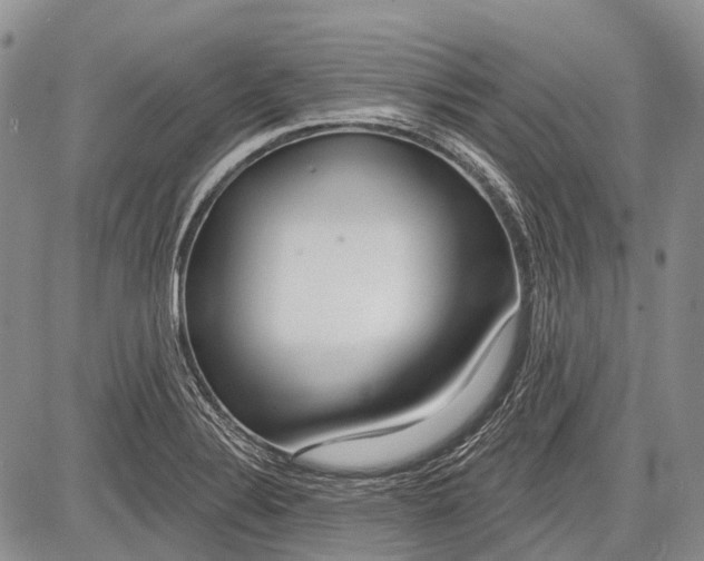 X0000081561324200702051139