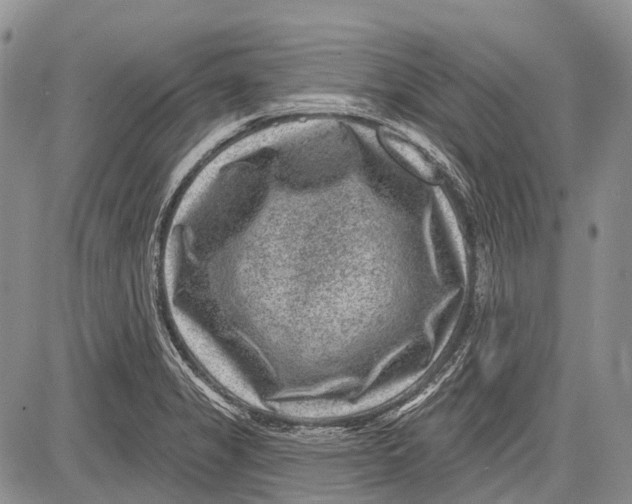 X0000081561325200702051139