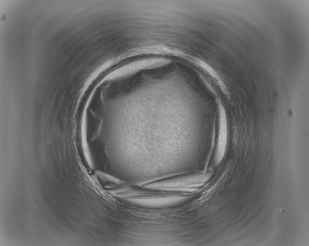 X0000081561326200702051139