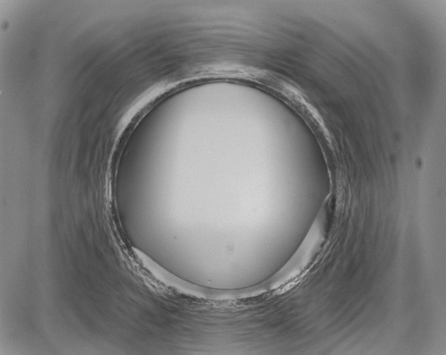 X0000081561328200702051139